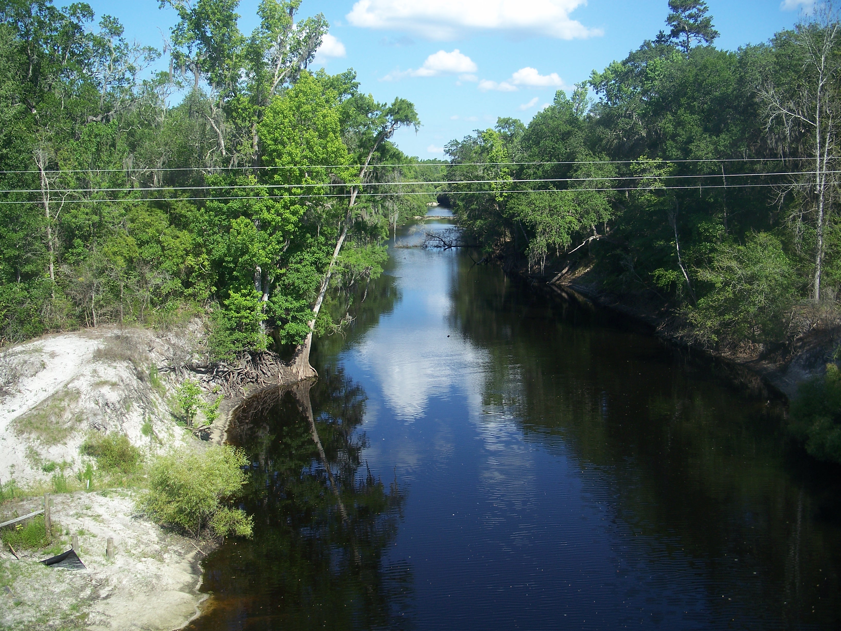 Alachua-Union_FL_Santa_Fe_River_east01.jpg