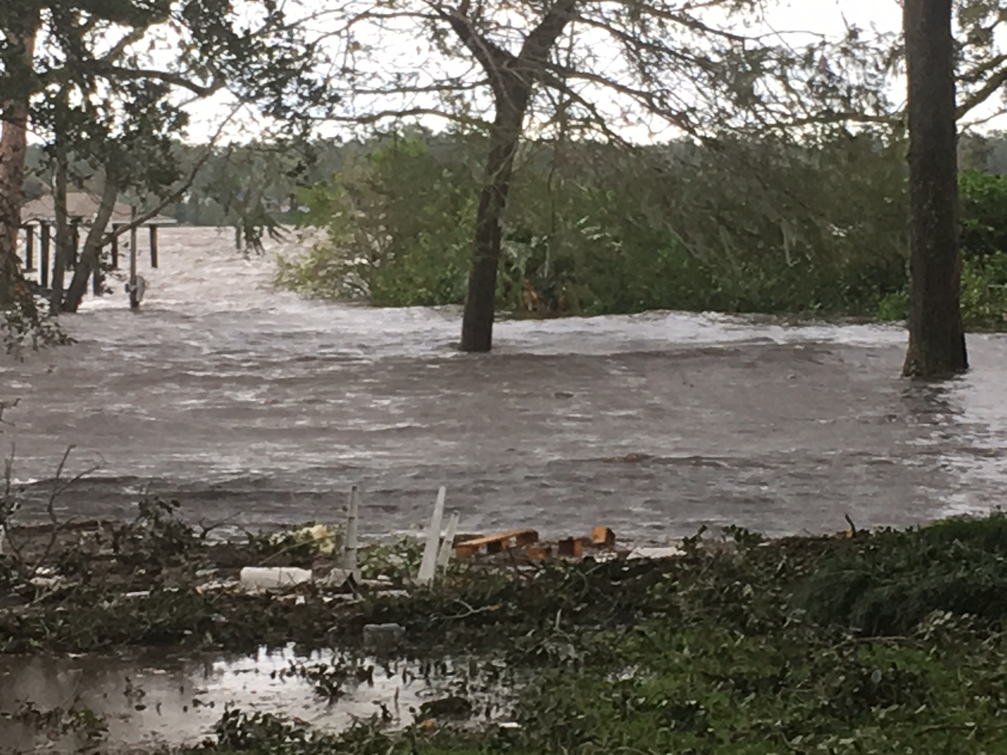 Irma flood Jacksonville