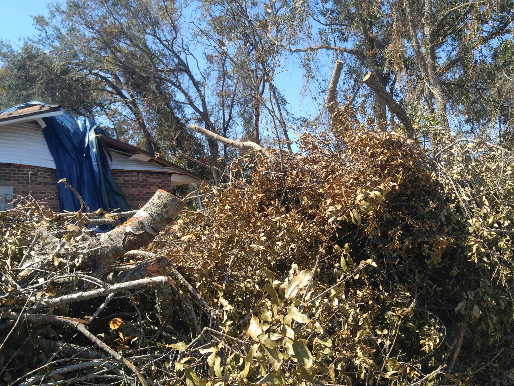 Irma-Debris