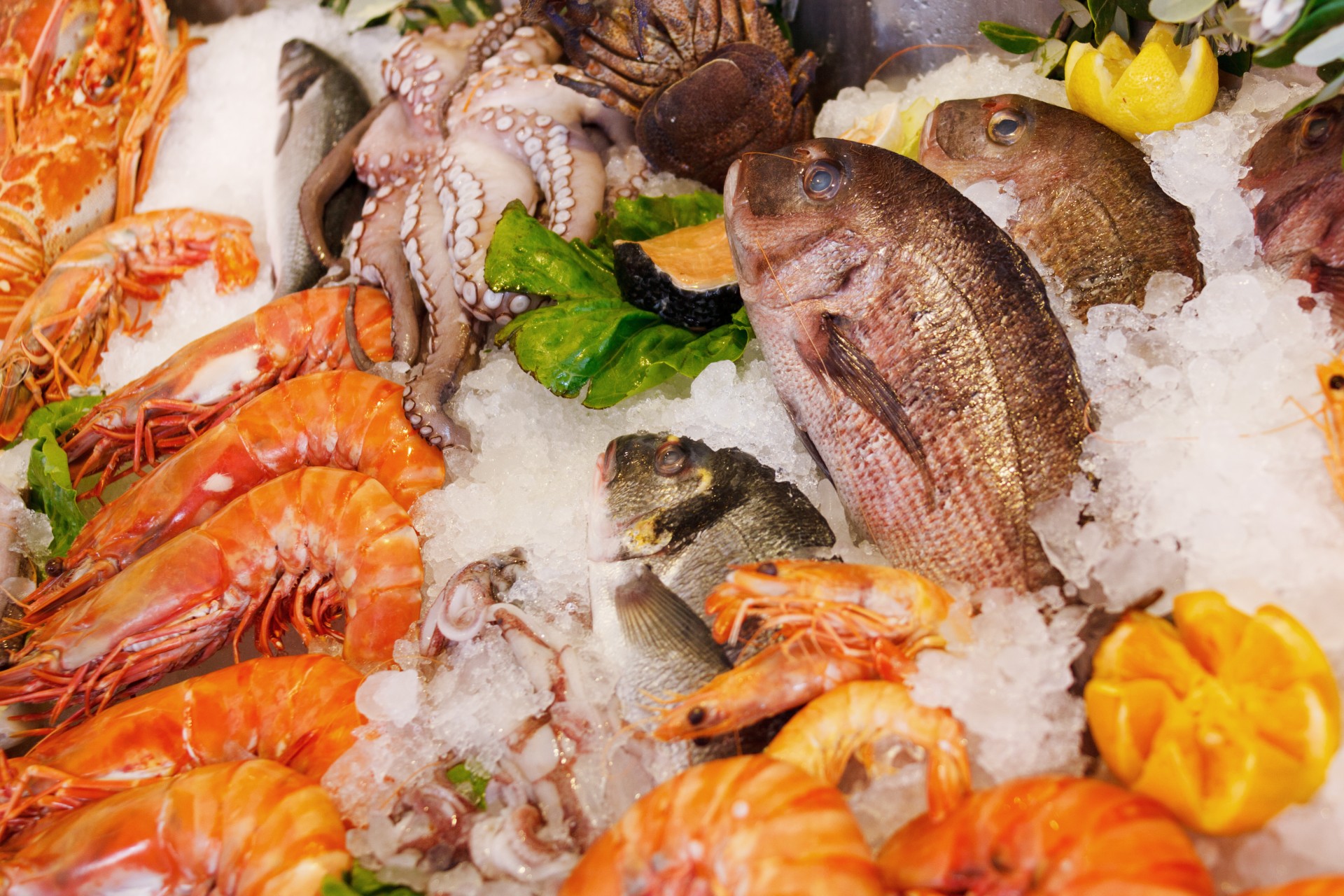 fresh-seafood-on-ice.jpg