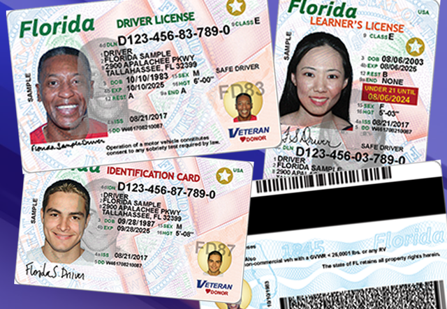 Florida invalidates some driver's license classes from 5 states