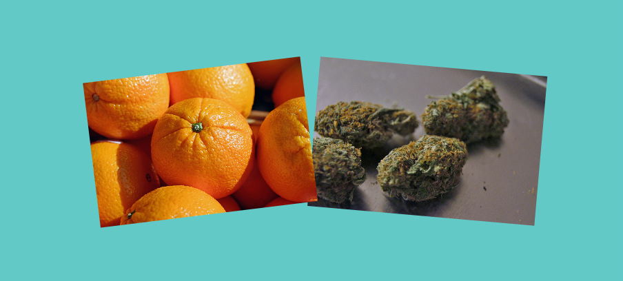 citrus-marijuana-inset-art.png