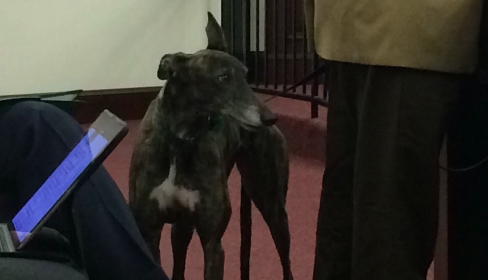 Greyhound at Capitol