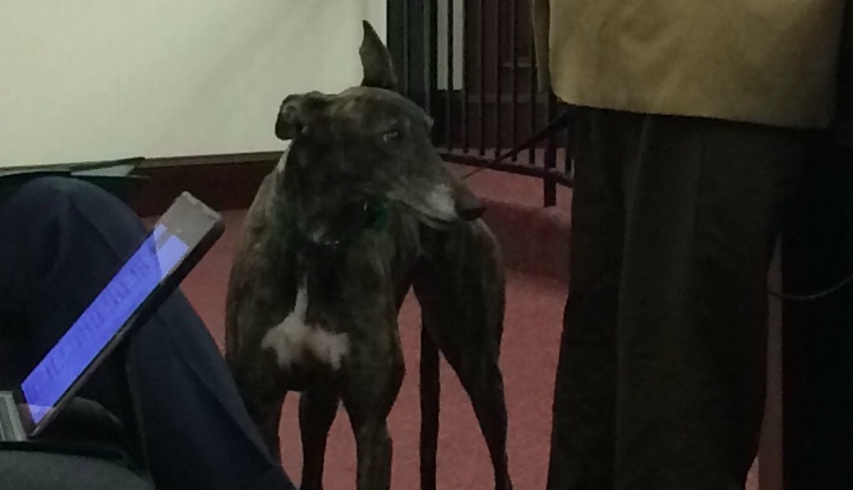 Greyhound-at-Capitol-e1512064492807.png