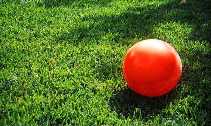 Kickball-on-grass1.jpg