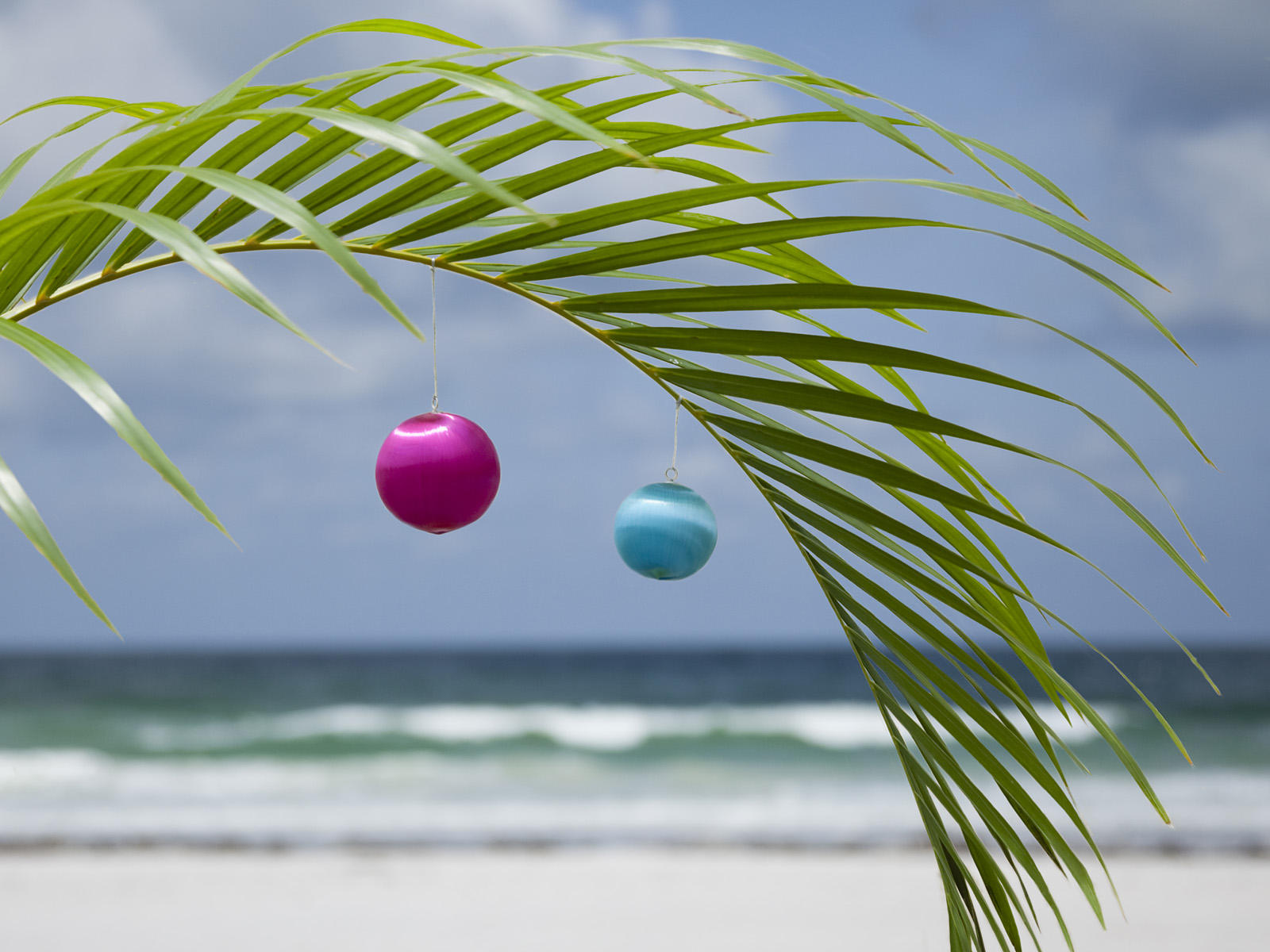 Christmas ornaments on a palm tree