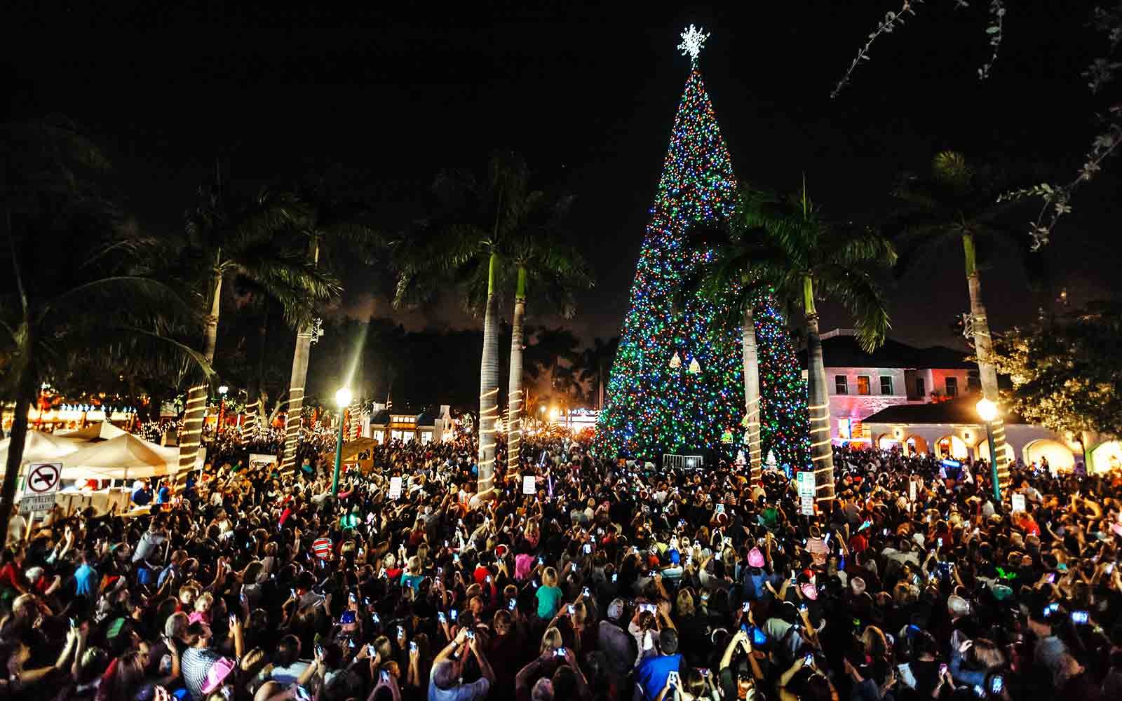 florida-delray-beach-XMASTREE1216