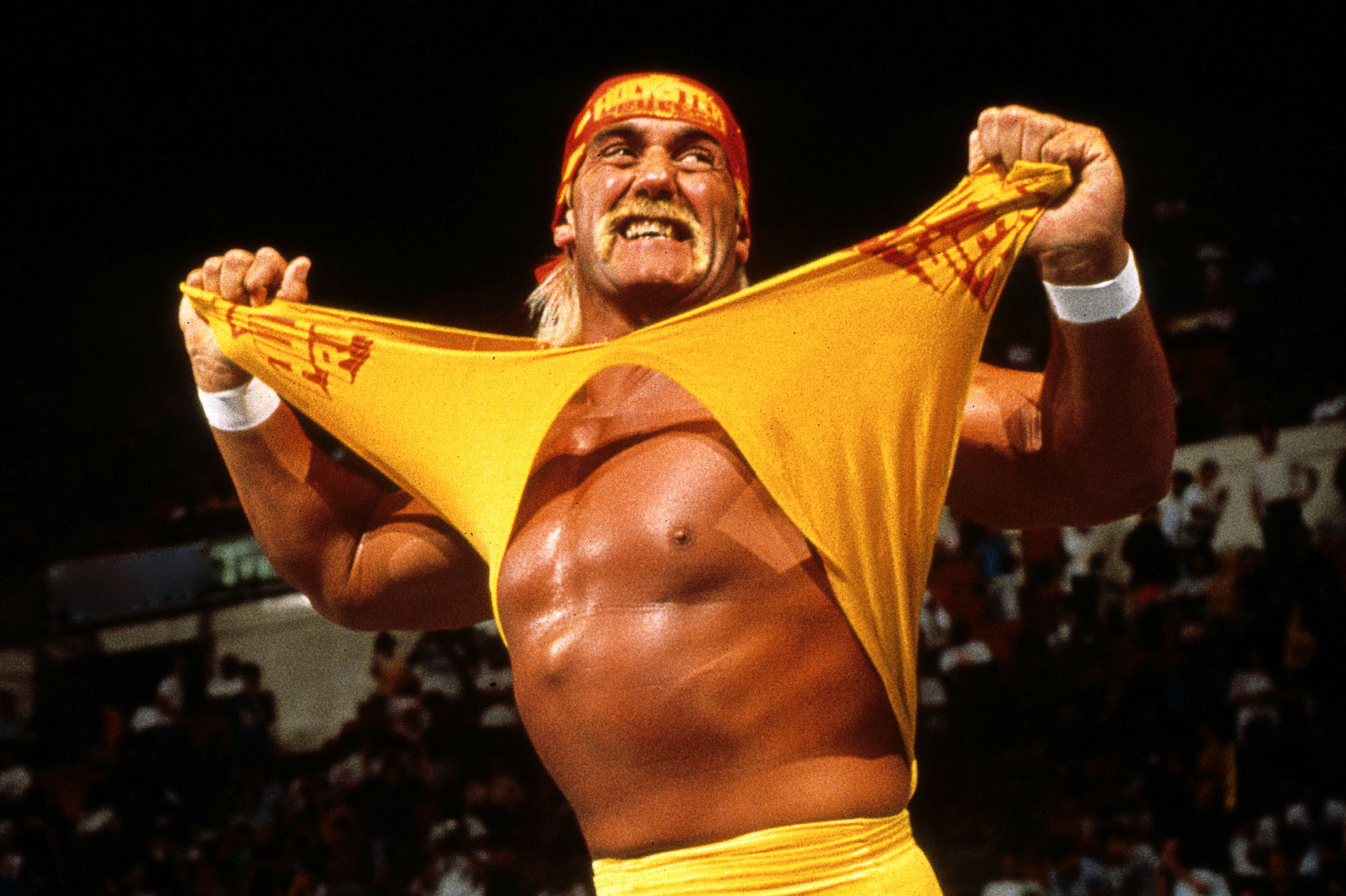 hulk-hogan-1.18.jpg