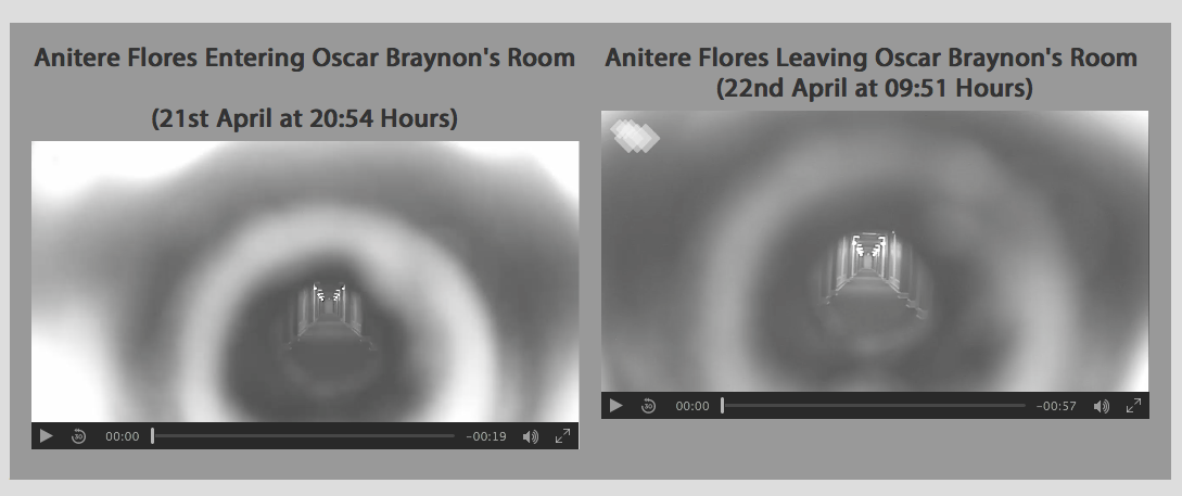 Website video allegedly of Flores and Braynon