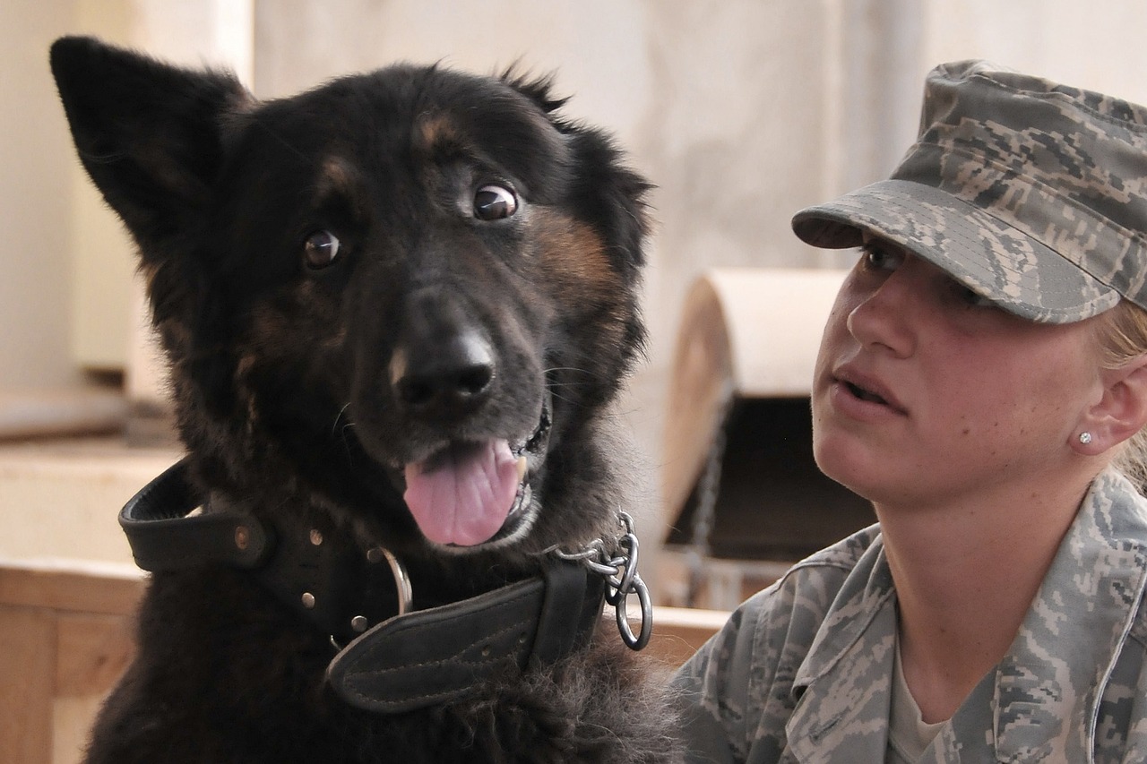 military working dogs