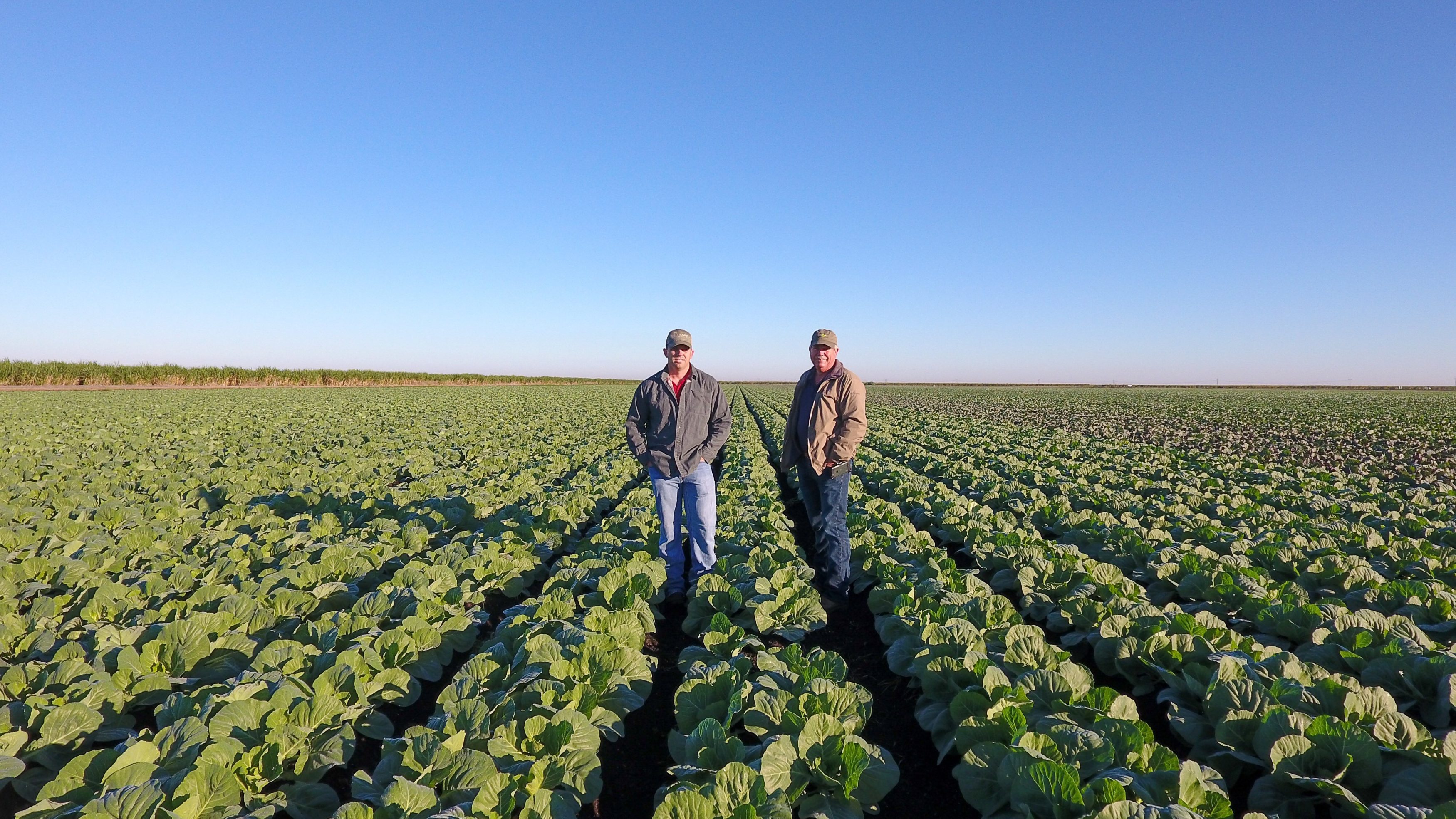 EAA-farmers-cabbage-day-3500x1969.jpg