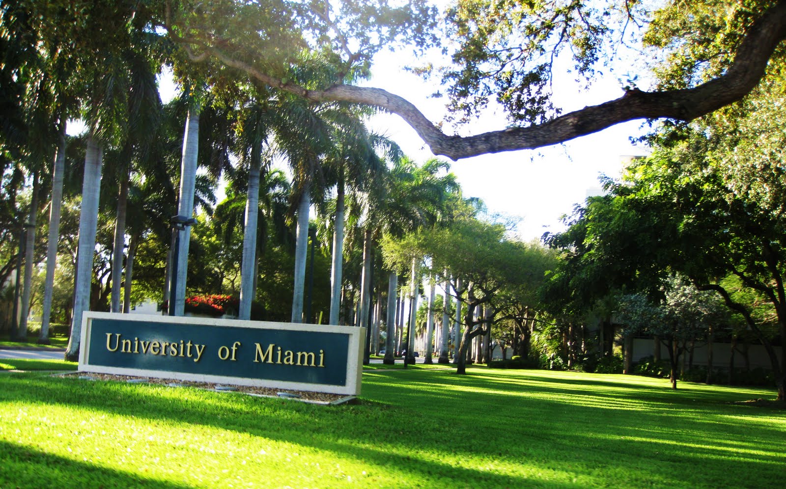 University of Miami