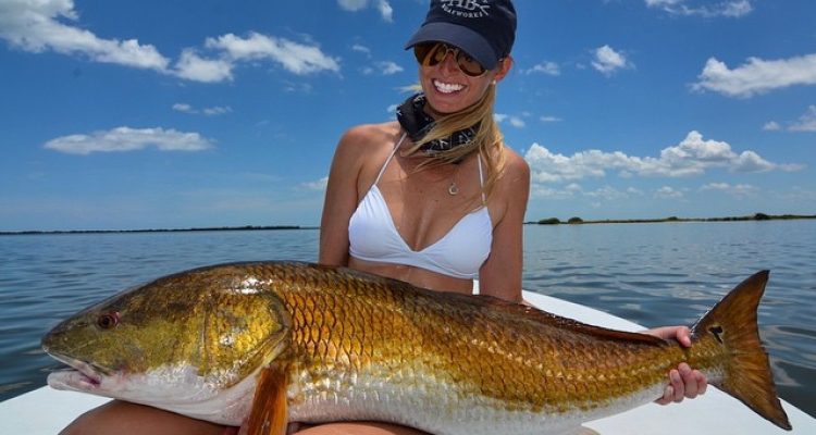 FWC approves changes for redfish in state waters following final