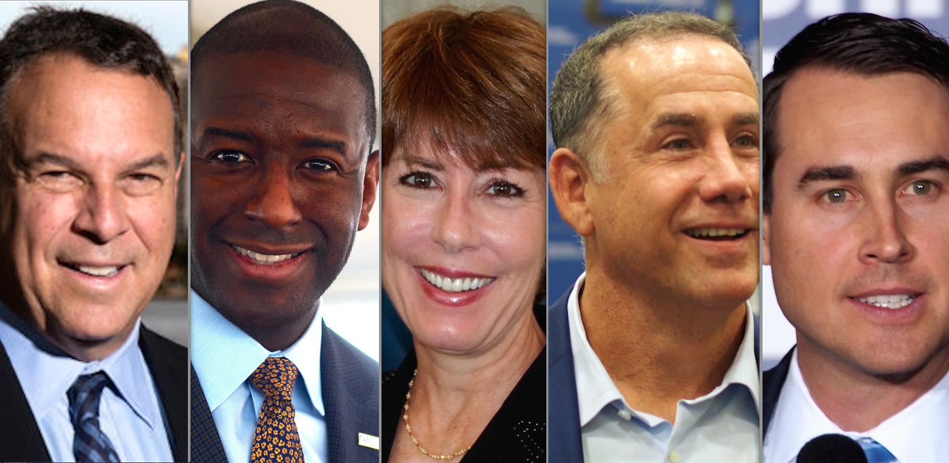 Jeff Greene, Andrew Gillum Gwen Graham, Philip Levine, Chris King