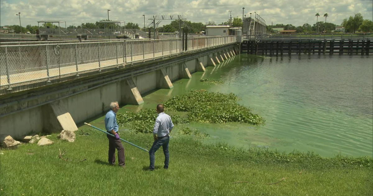 Algal blooms cost Florida 17.3 million in emergency funding last year