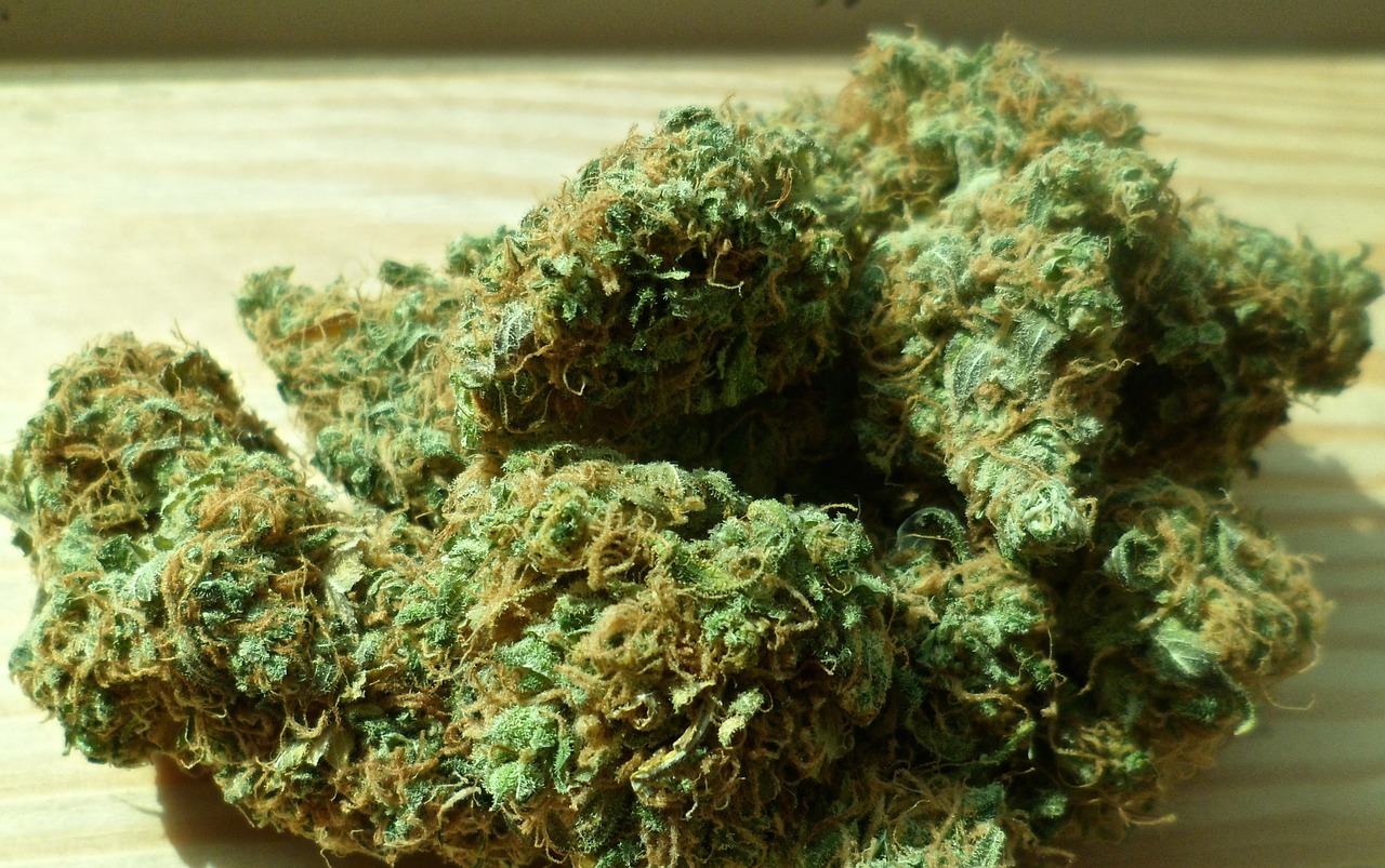 cannabis-448661_1280.jpg