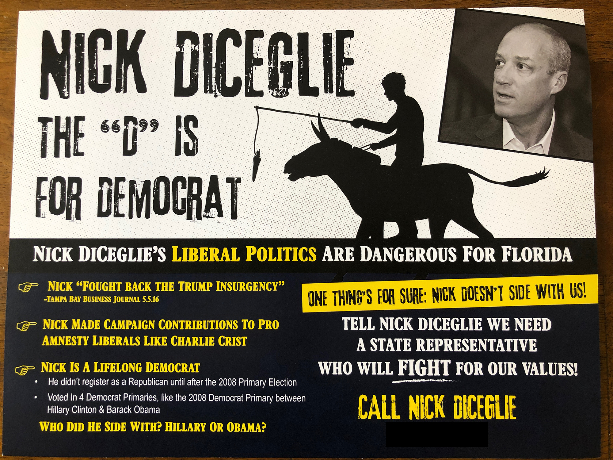 Anit-Nick DiCeglie mailer