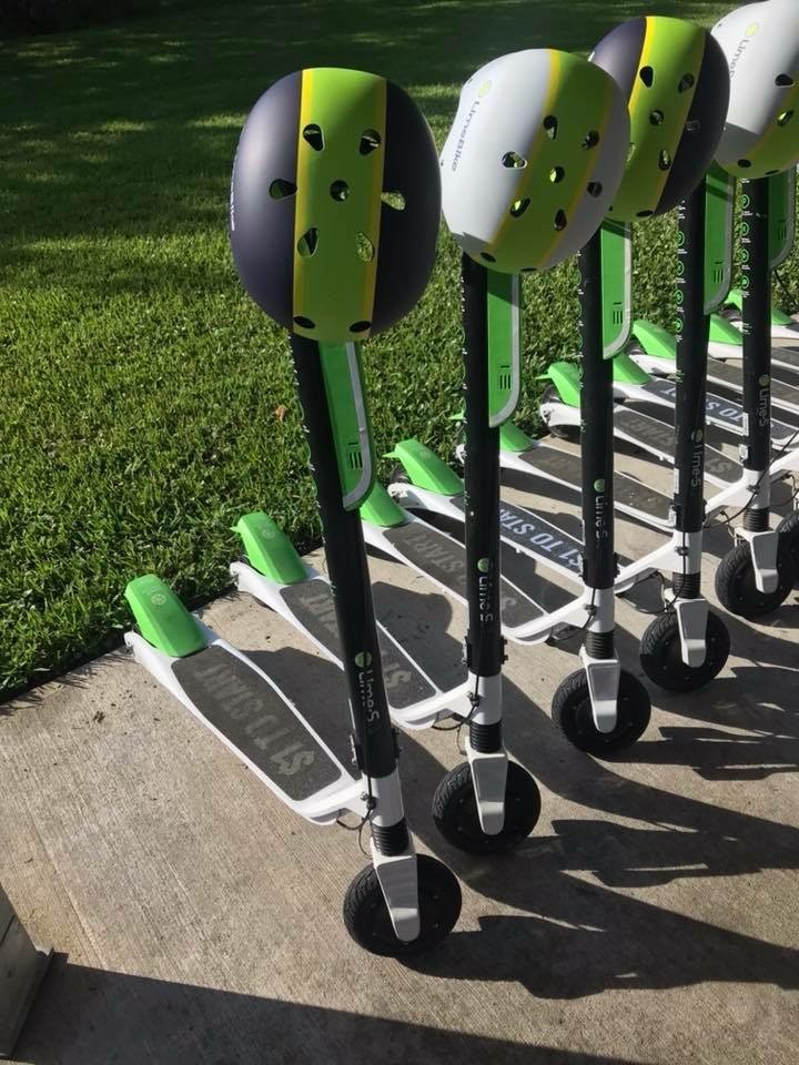 birds-scooters.jpg