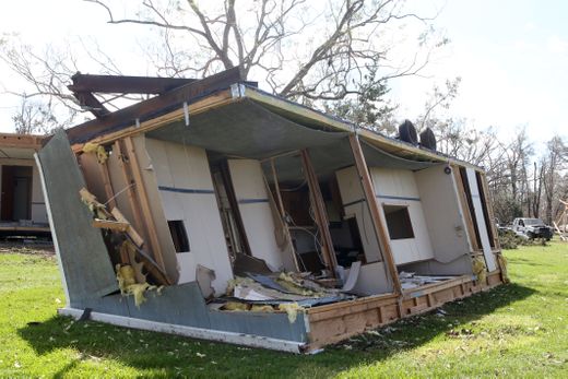 hurricane Michael to egg devastation