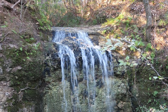 Falling waters state park