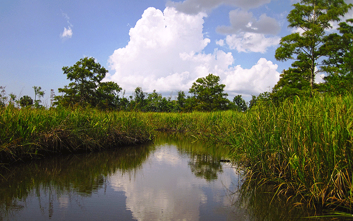 Ed Armstrong III, John Mitten two newest appointments to Southwest Florida Water Management District Governing Board - Florida Politics