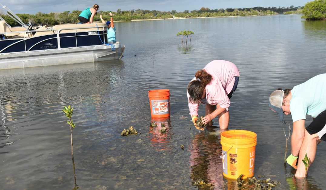 UCF researchers in Indian River Lagoon