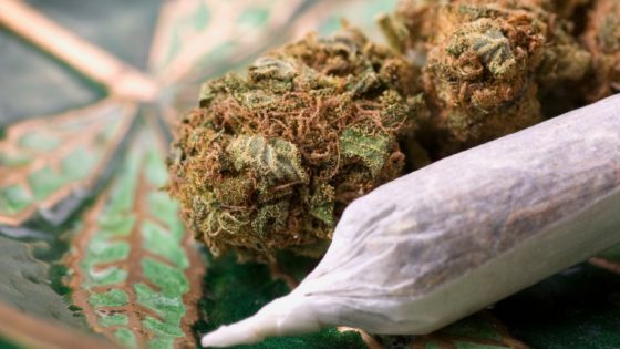 marijuana