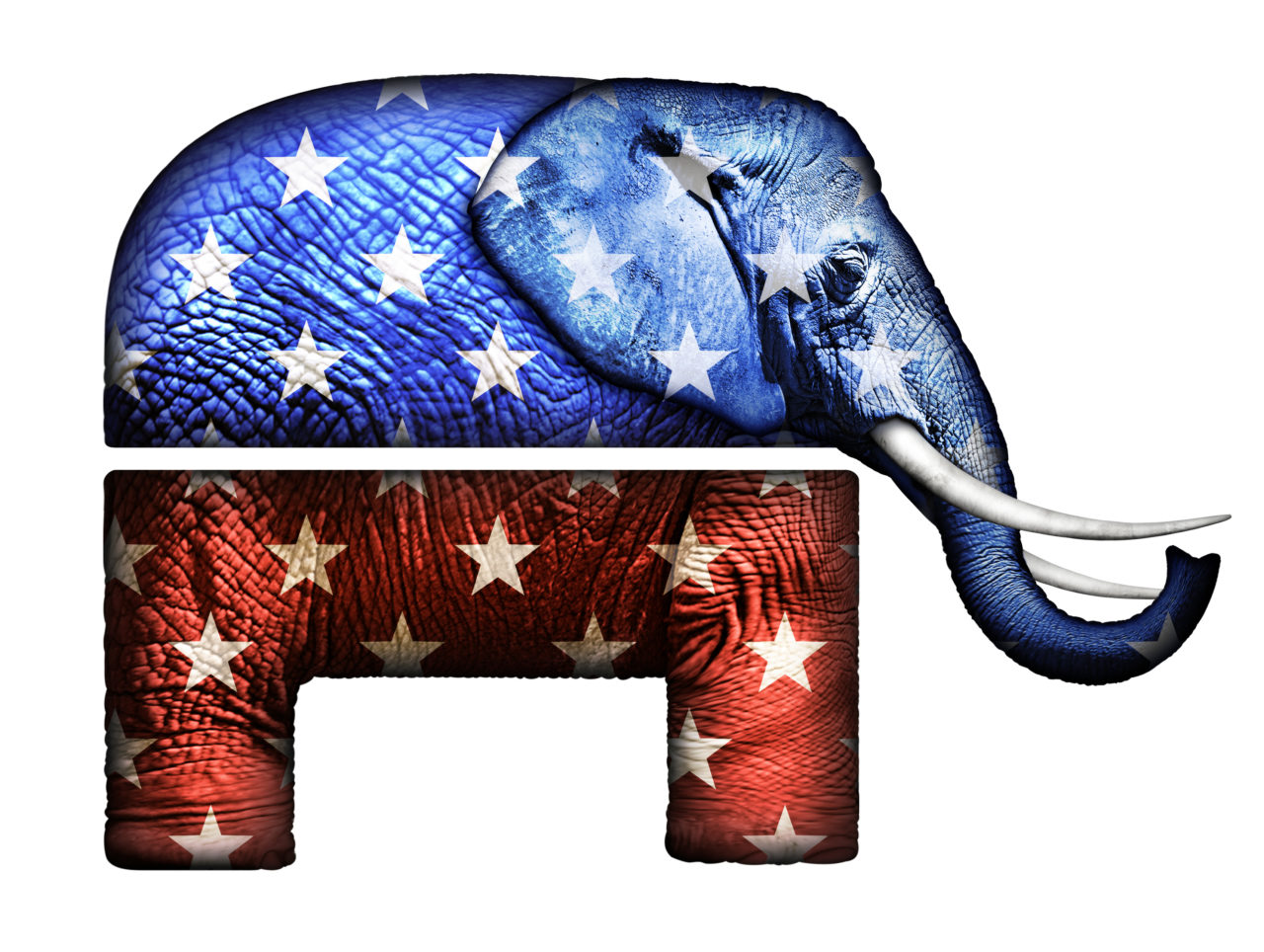 Real Elephant Republican Symbol