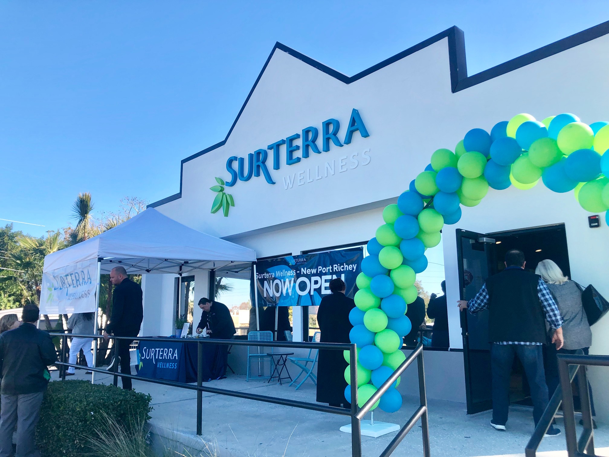 Surterra