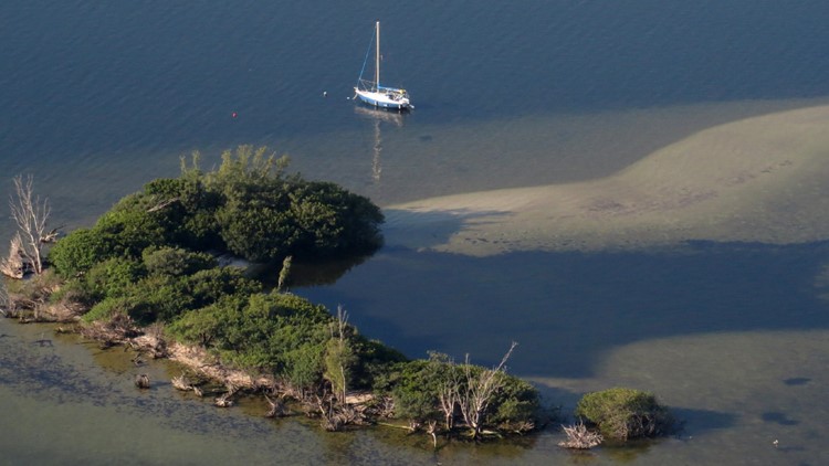 Indian River Lagoon poop