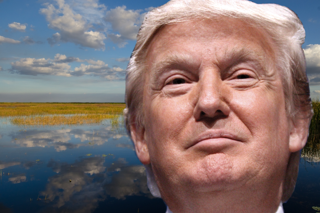 Trump-Lake-O.png