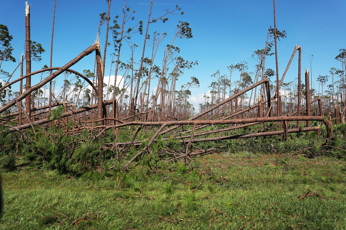 hurricane Michael fire threat image via Getty