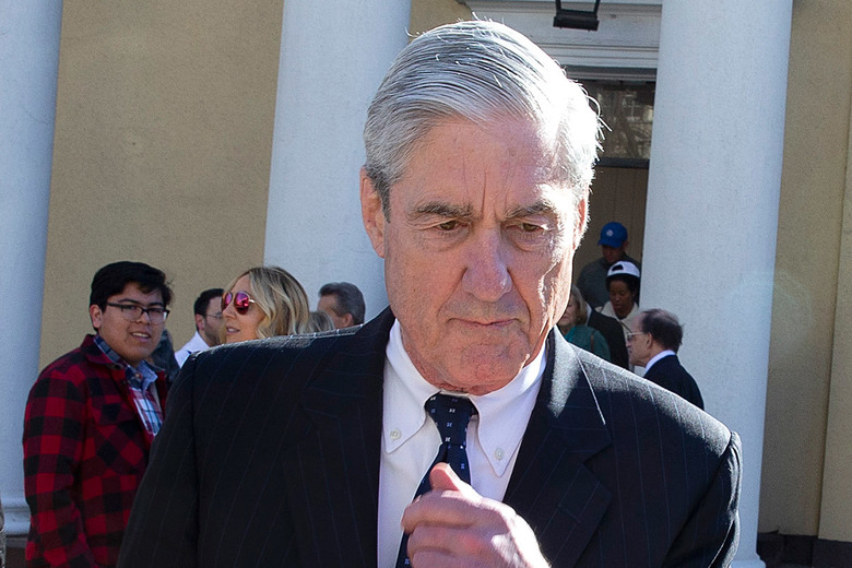 mueller 3.25.19