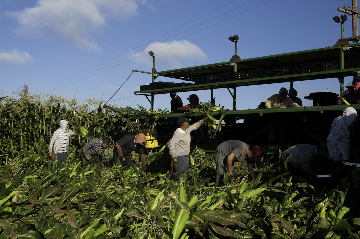 Migrant Farm Workers