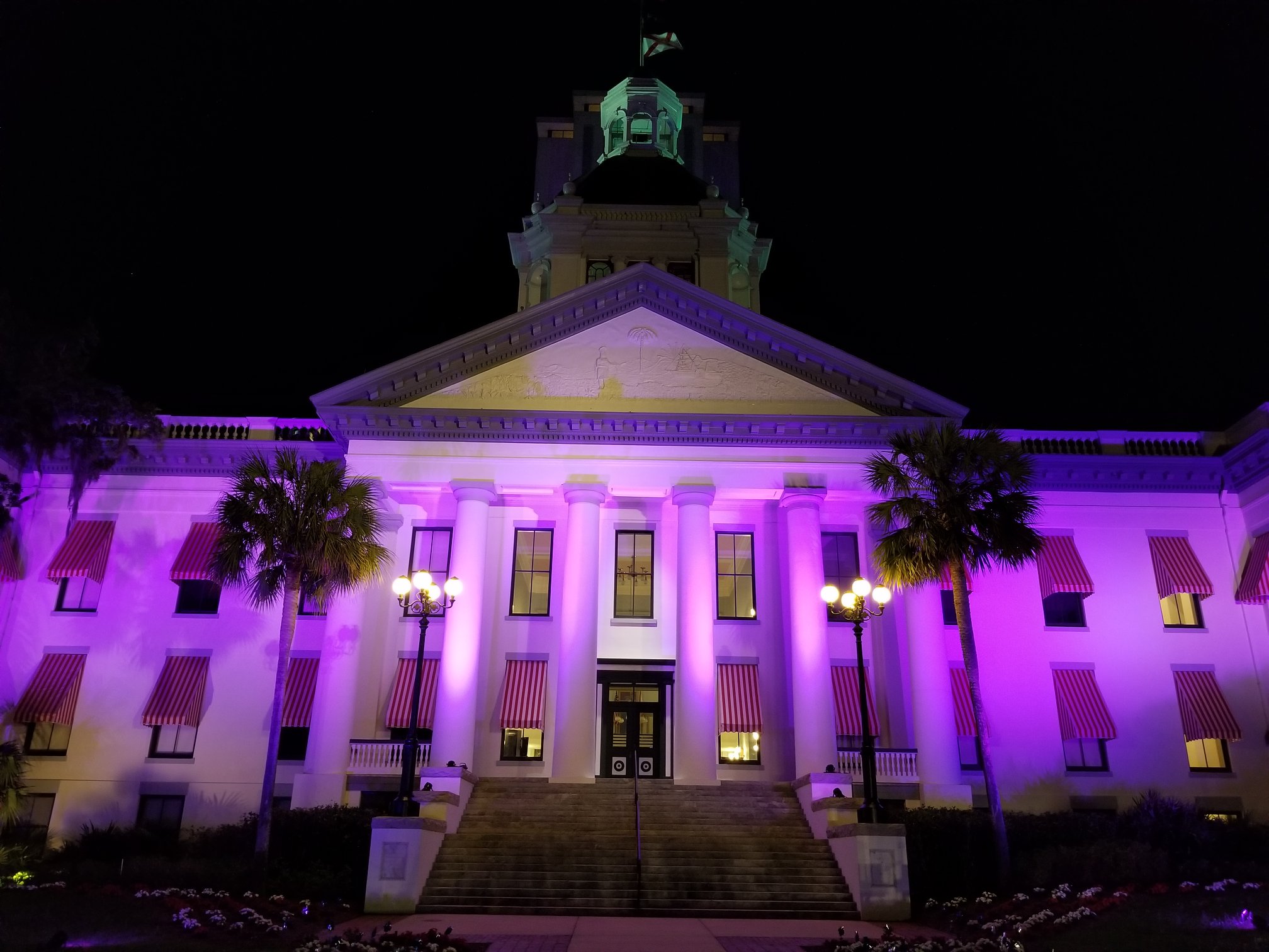 Marcy's Law purple capitol