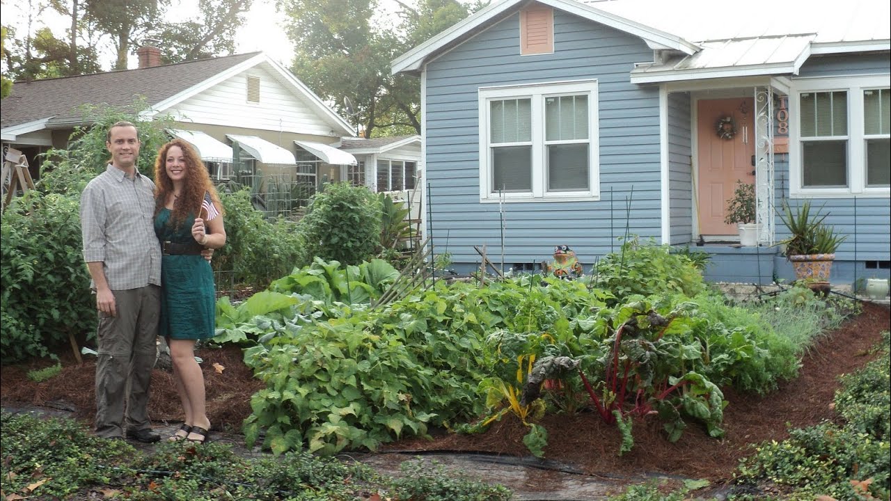 Veg garden