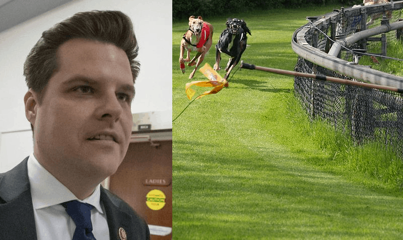 Gaetz dog track