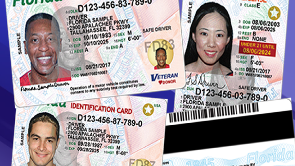 driver license check miami