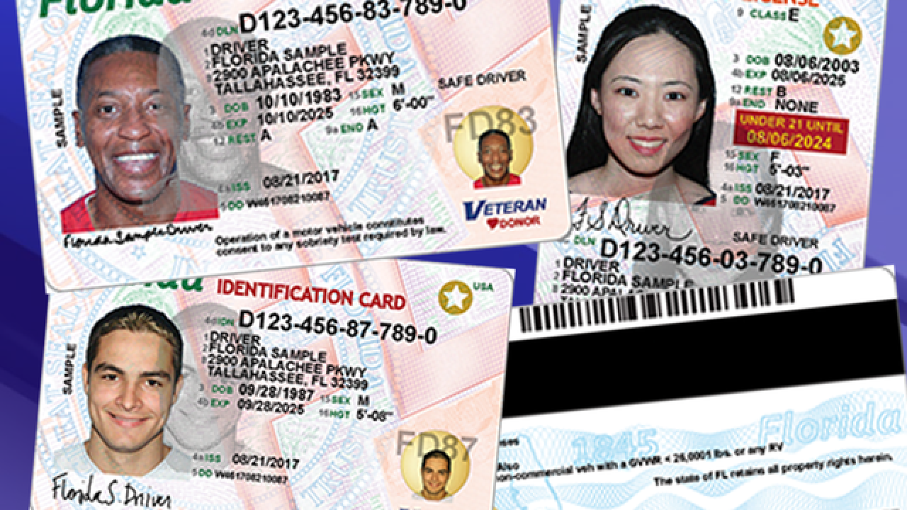 florida temporary driver license