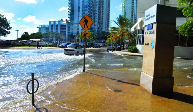 miami sea level