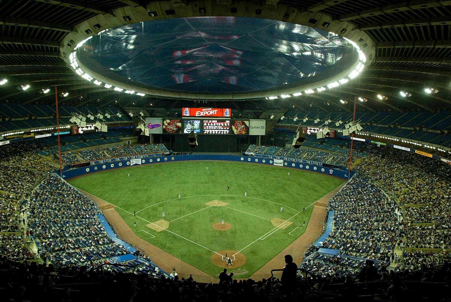 Orlando Rays - Great American Baseball Trips