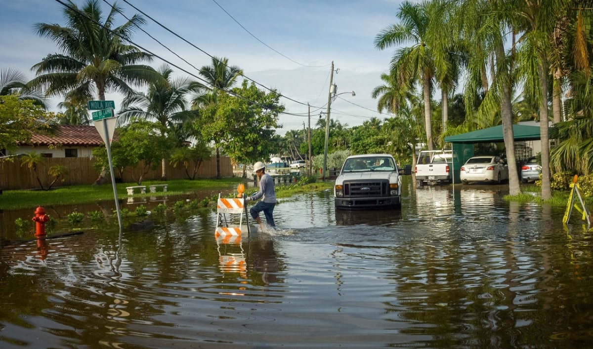 Hollywood floods