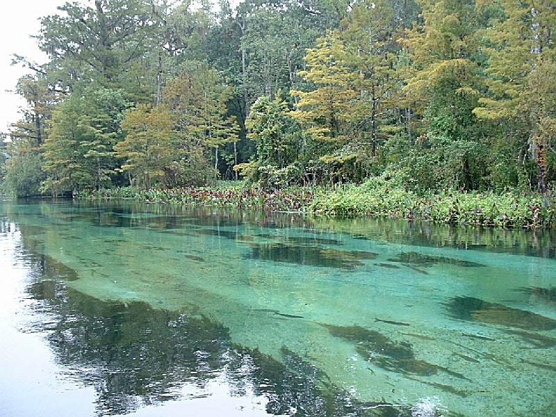 wakulla springs