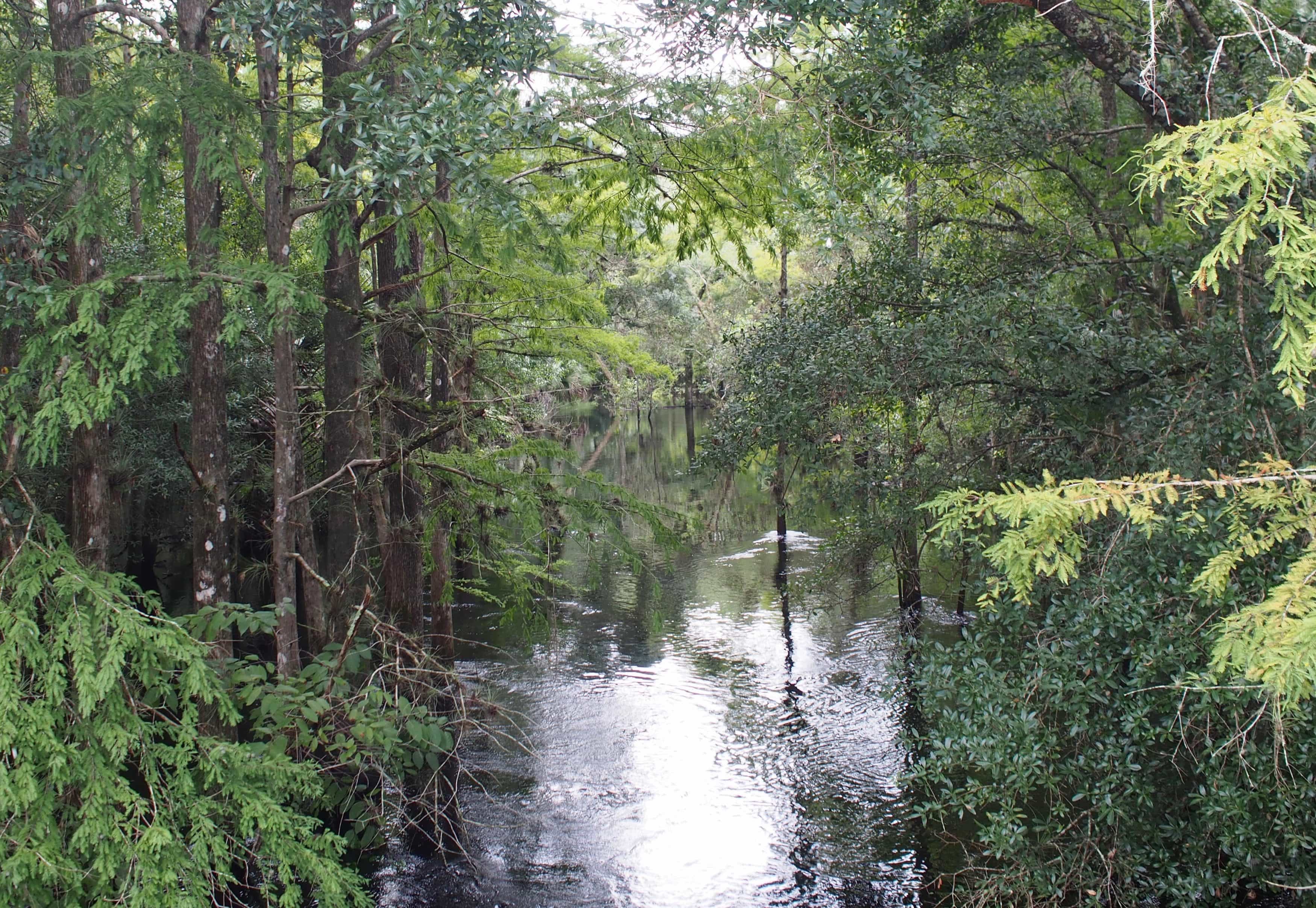 Econlockhatchee River