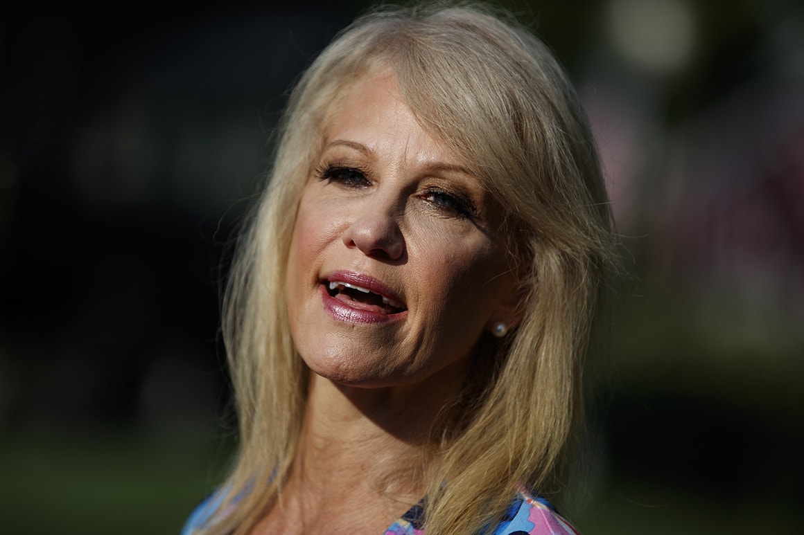 Kellyanne Conway sees a 'Ron DeSantis lane' in 2024 GOP field