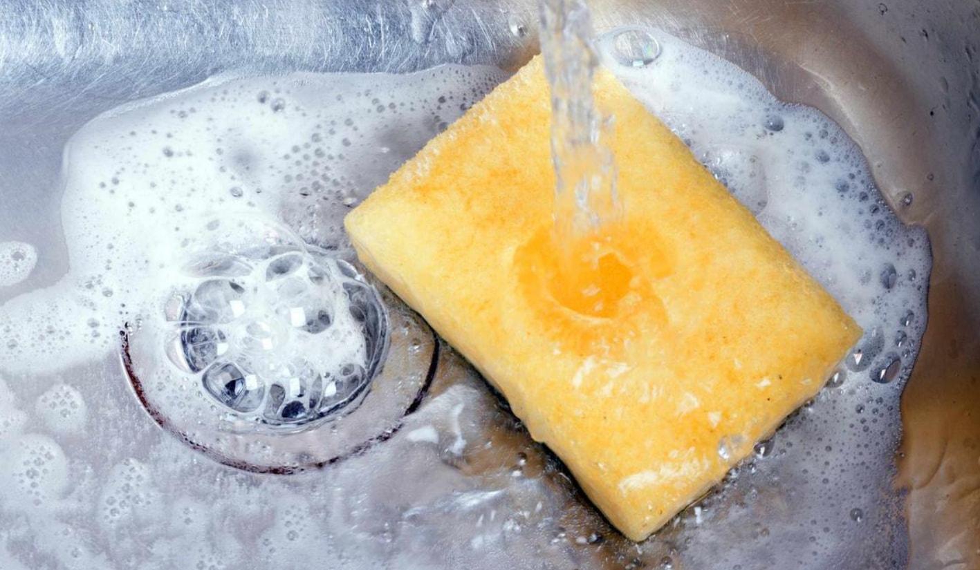 kitchen sponge