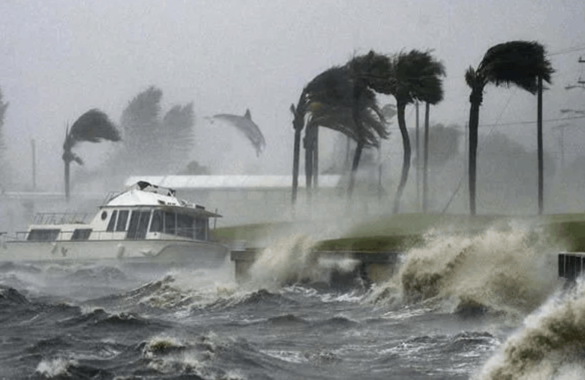 When a hurricane hits, what happens to sharks, dolphins and marine life? –  Orlando Sentinel