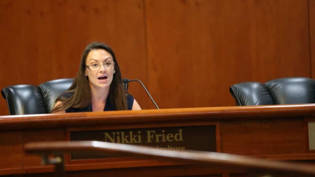 nikki-fried-1024x576.jpg