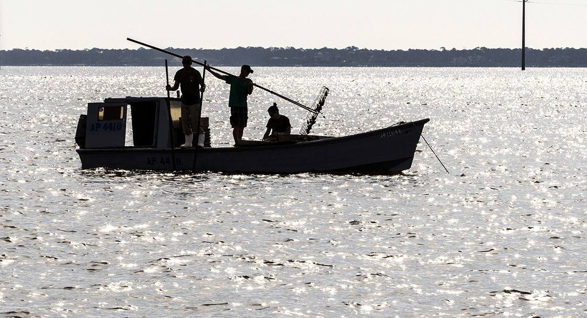 Apalachicola-Bay.png