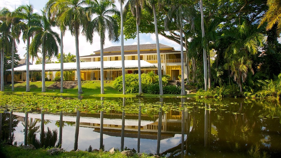 Bonnet-House-Museum-And-Gardens-23257